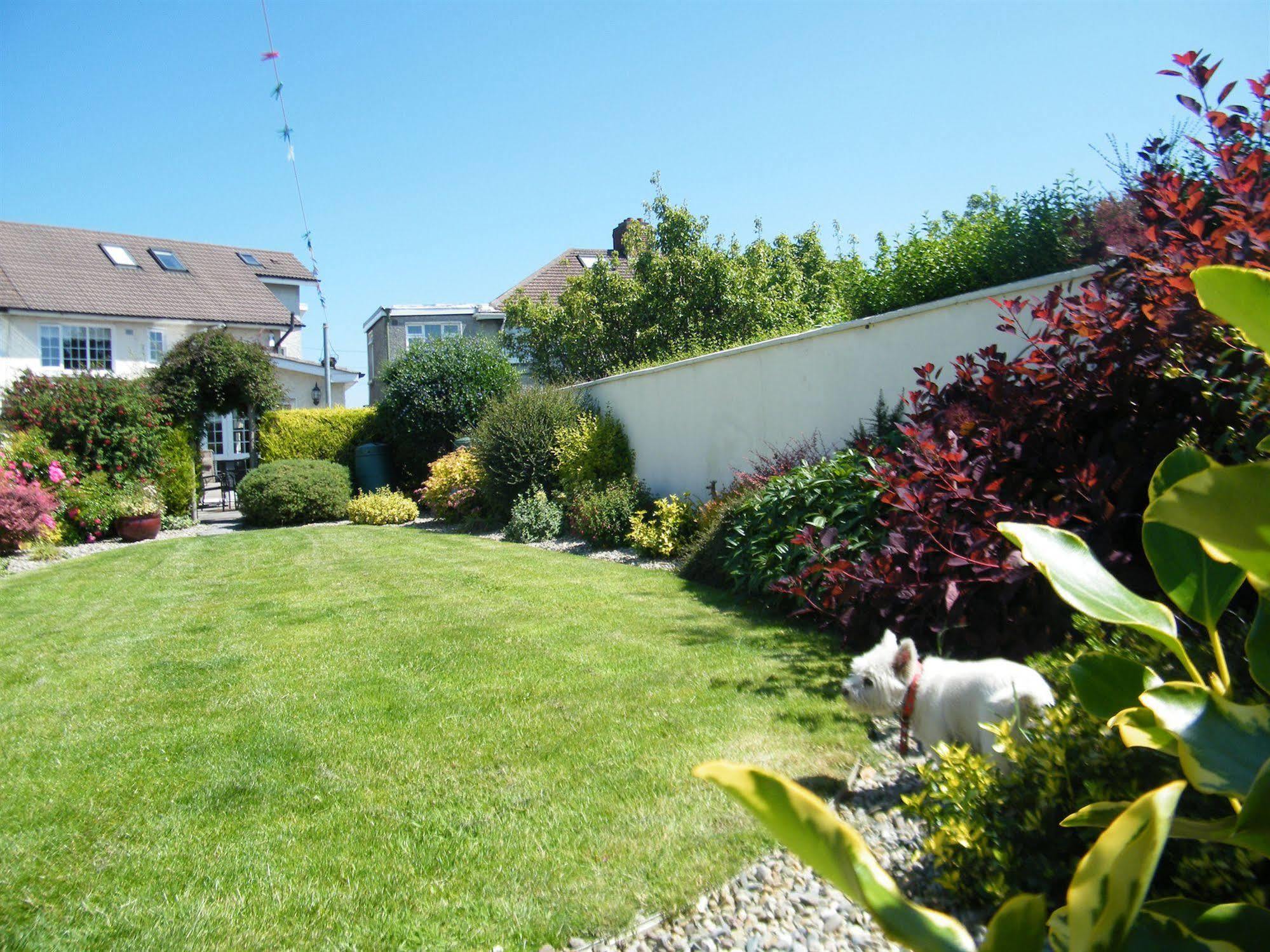 Bed and Breakfast Almanii Dublin Exterior foto