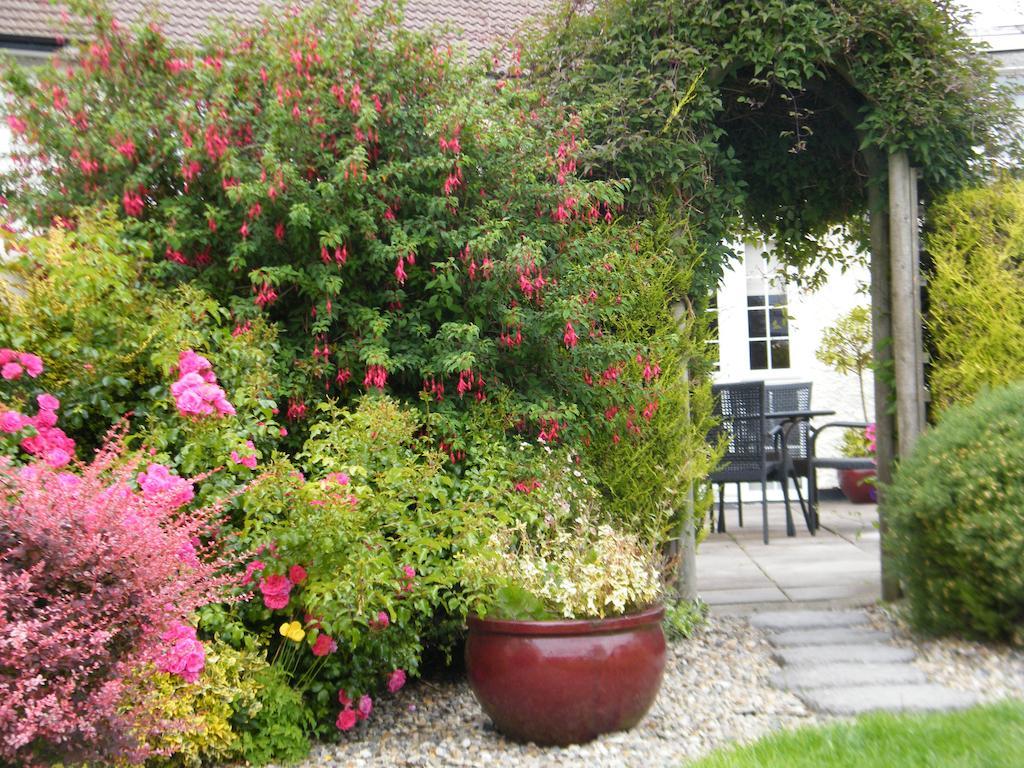 Bed and Breakfast Almanii Dublin Exterior foto